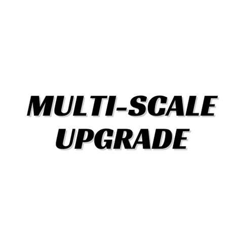 Multi-scale Upgrade